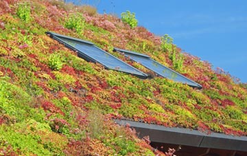Loandhu living roof systems