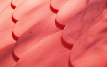 Loandhu plastic roof costs