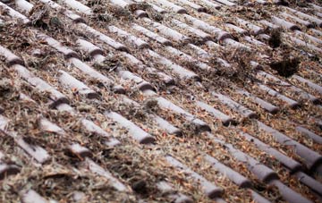 Loandhu roof cleaning companies