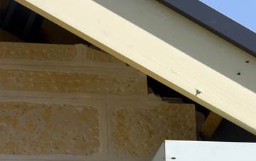 soffit repair Loandhu